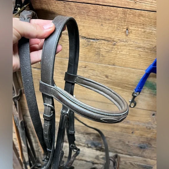 Horse size Schooling bridle, with reins - Picture 4 of 4